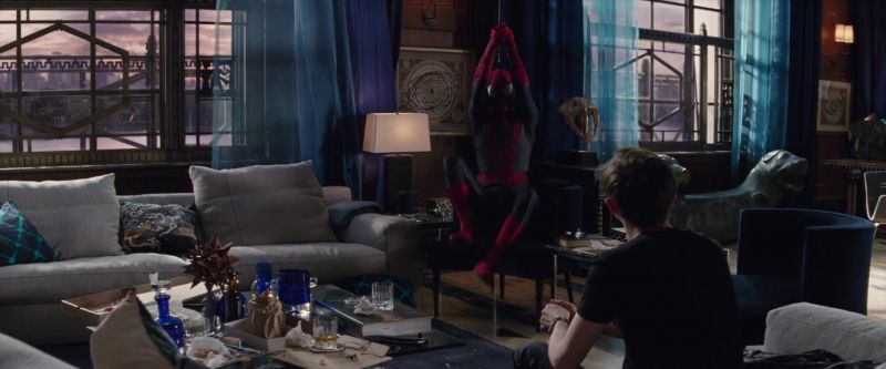 tasm2cap_01202.jpg