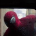 tasm2cap_00047.jpg