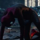 tasm2cap_01533.jpg